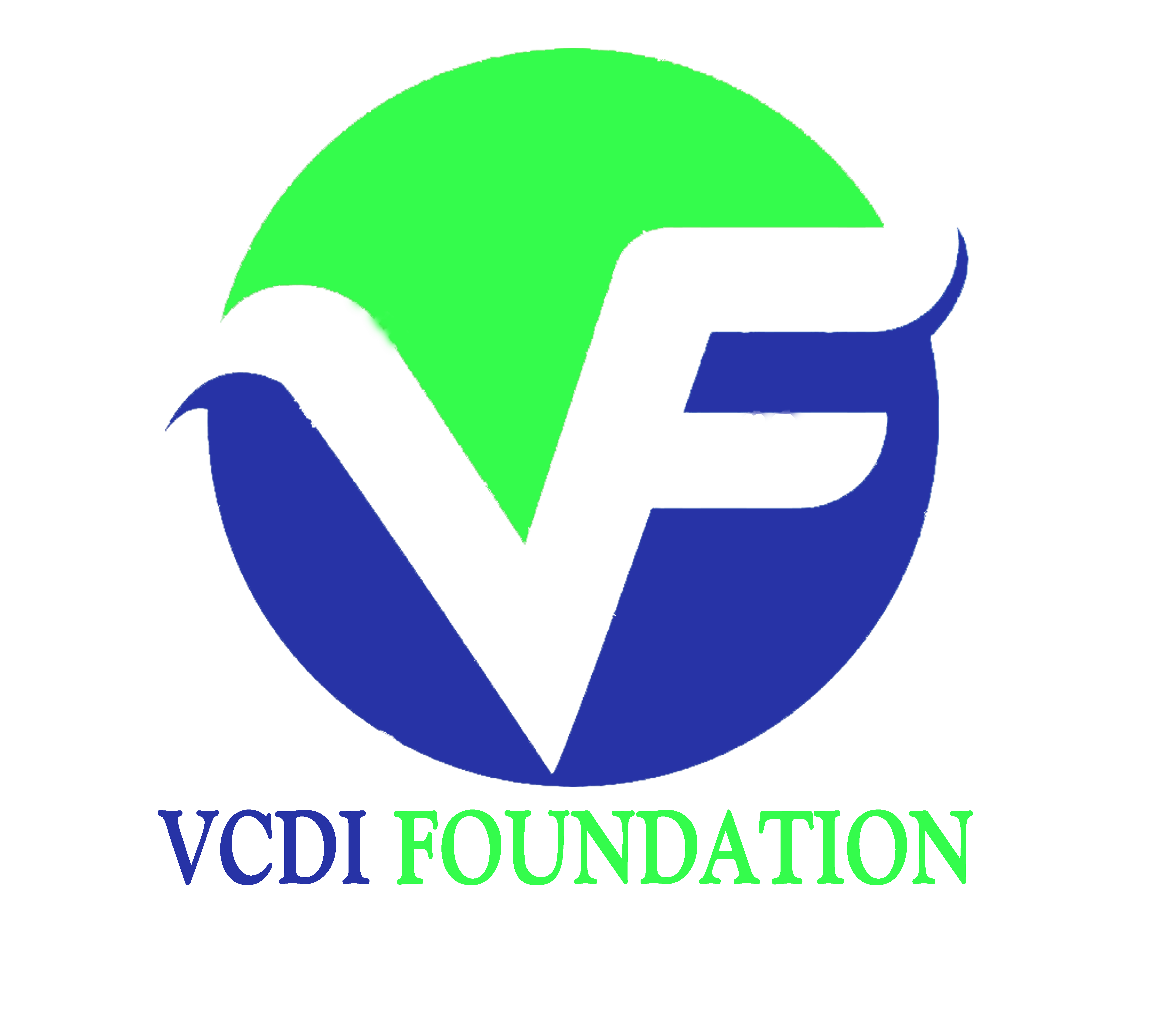 VCDI - Towards Bright Future